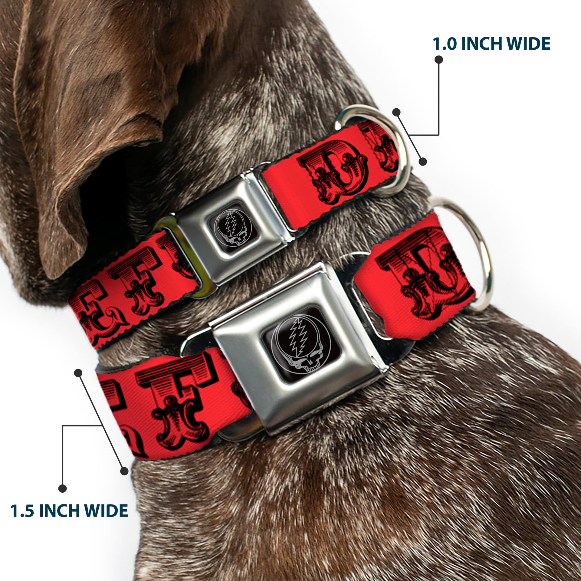 Grateful Dead Seatbelt Buckle Pet Collar | Red/Black Text + Skull & Roses (Steal Your Face Buckle)