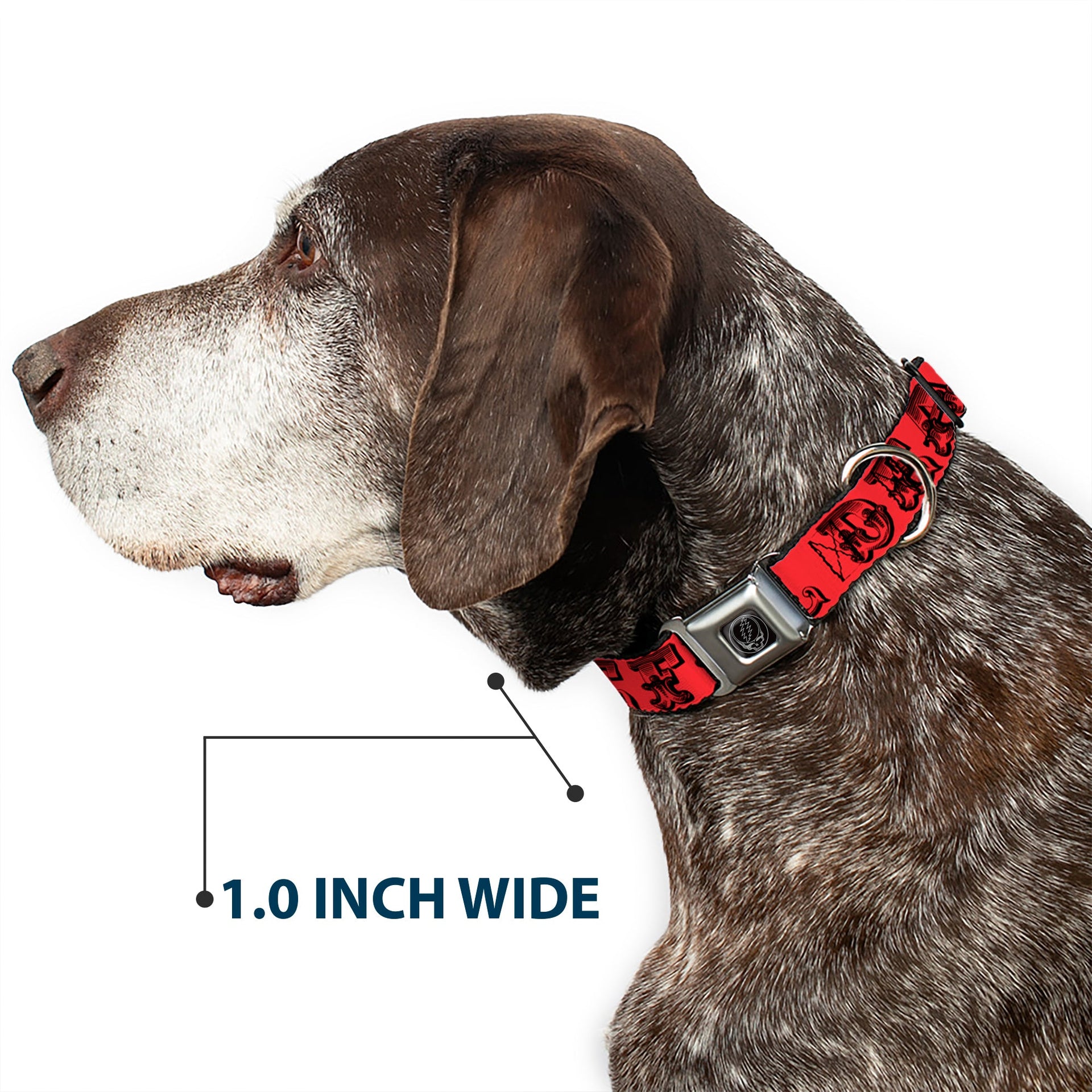 Grateful Dead Seatbelt Buckle Pet Collar | Red/Black Text + Skull & Roses (Steal Your Face Buckle)