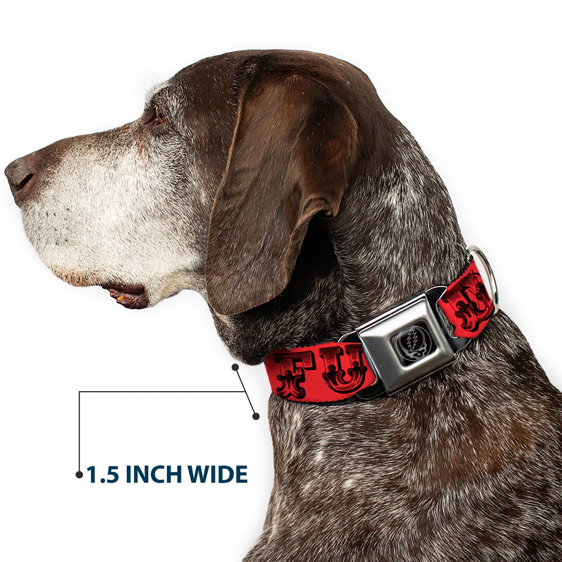 Grateful Dead Seatbelt Buckle Pet Collar | Red/Black Text + Skull & Roses (Steal Your Face Buckle)