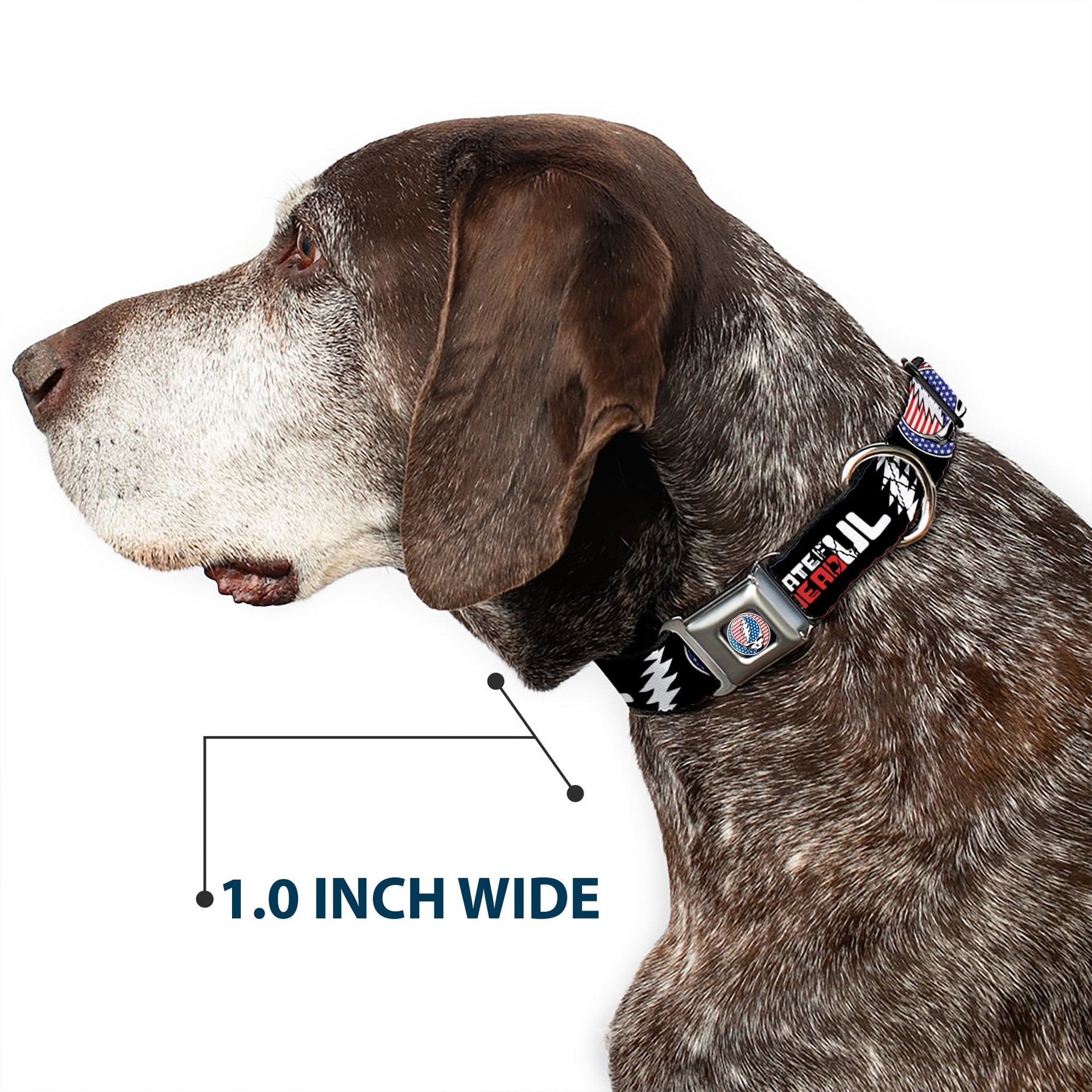 Grateful Dead Seatbelt Buckle Pet Collar | Stars & Stripes + Text (Steal Your Face Buckle)