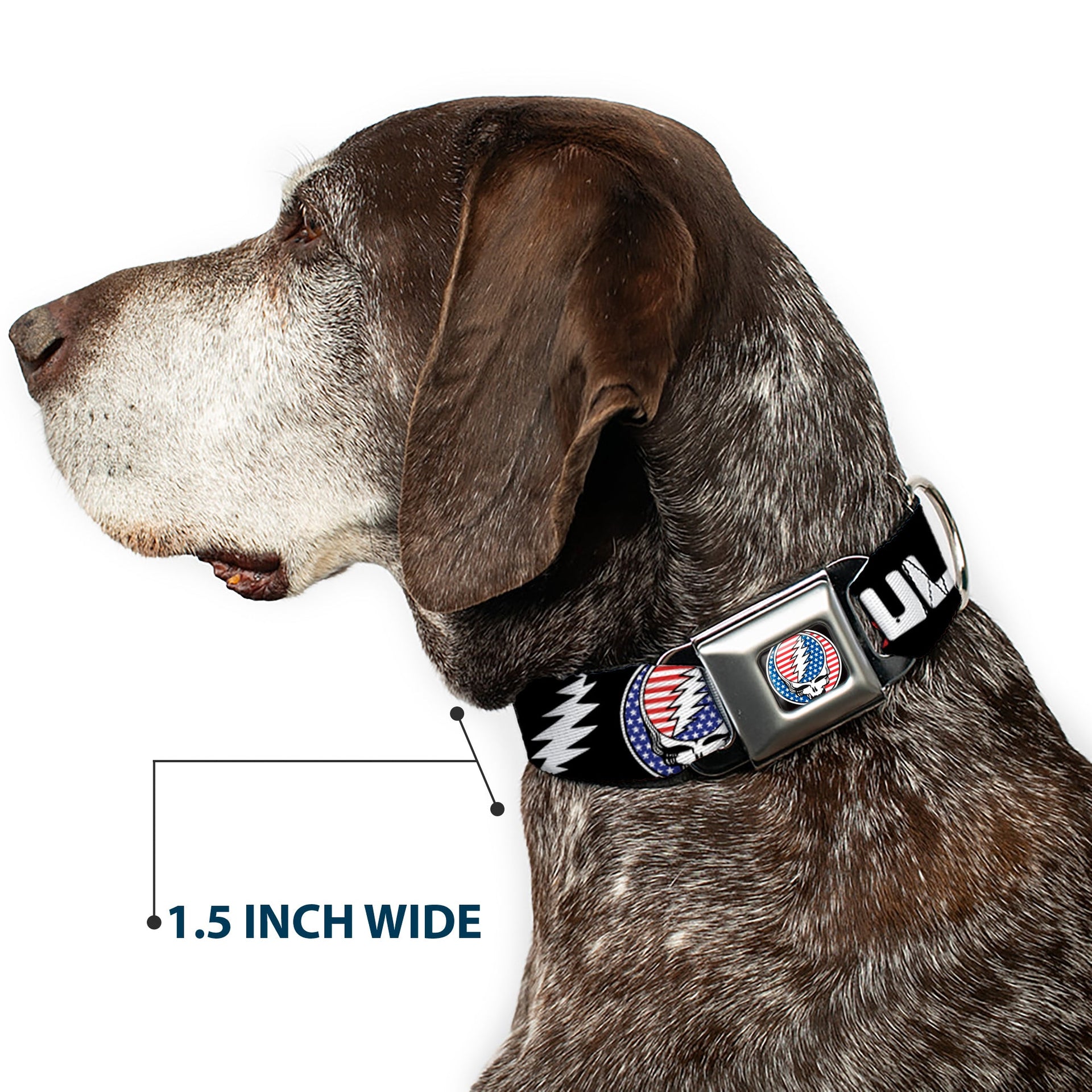 Grateful Dead Seatbelt Buckle Pet Collar | Stars & Stripes + Text (Steal Your Face Buckle)