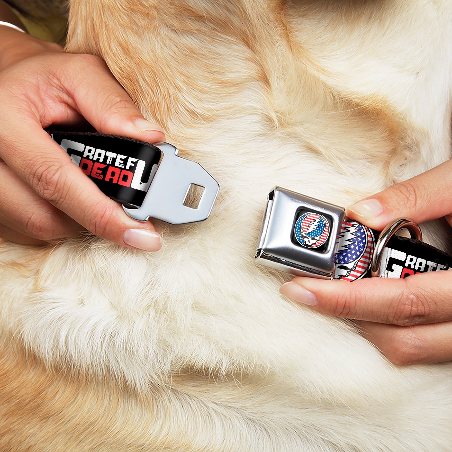 Grateful Dead Seatbelt Buckle Pet Collar | Stars & Stripes + Text (Steal Your Face Buckle)