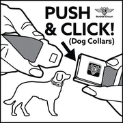 Grateful Dead Seatbelt Buckle Pet Collar | Steal Your Face + Large Lightning Bolt (Steal Your Face Buckle)