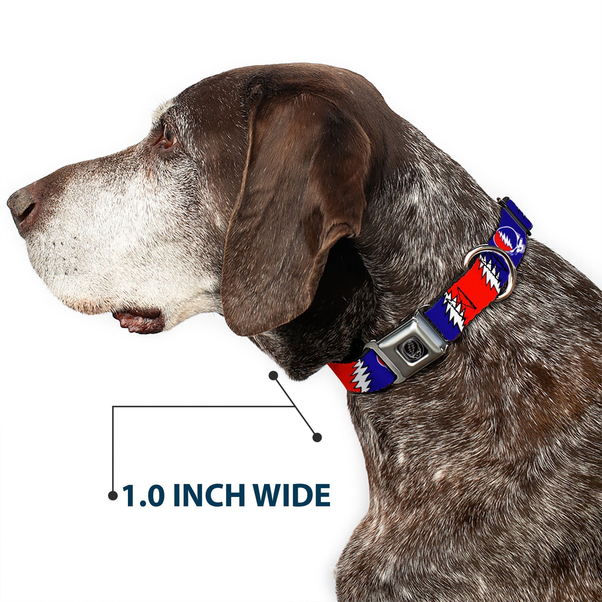 Grateful Dead Seatbelt Buckle Pet Collar | Steal Your Face + Large Lightning Bolt (Steal Your Face Buckle)