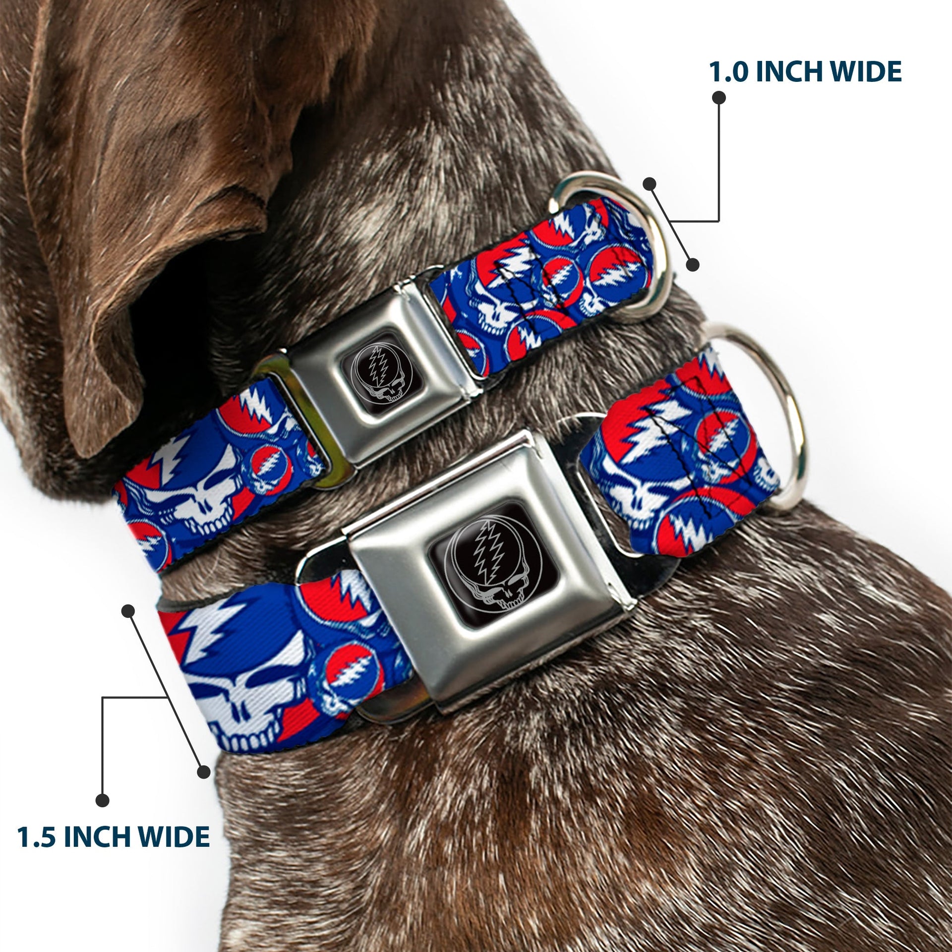Grateful Dead Seatbelt Buckle Pet Collar | Steal Your Face Stacked (Steal Your Face B/W Buckle)