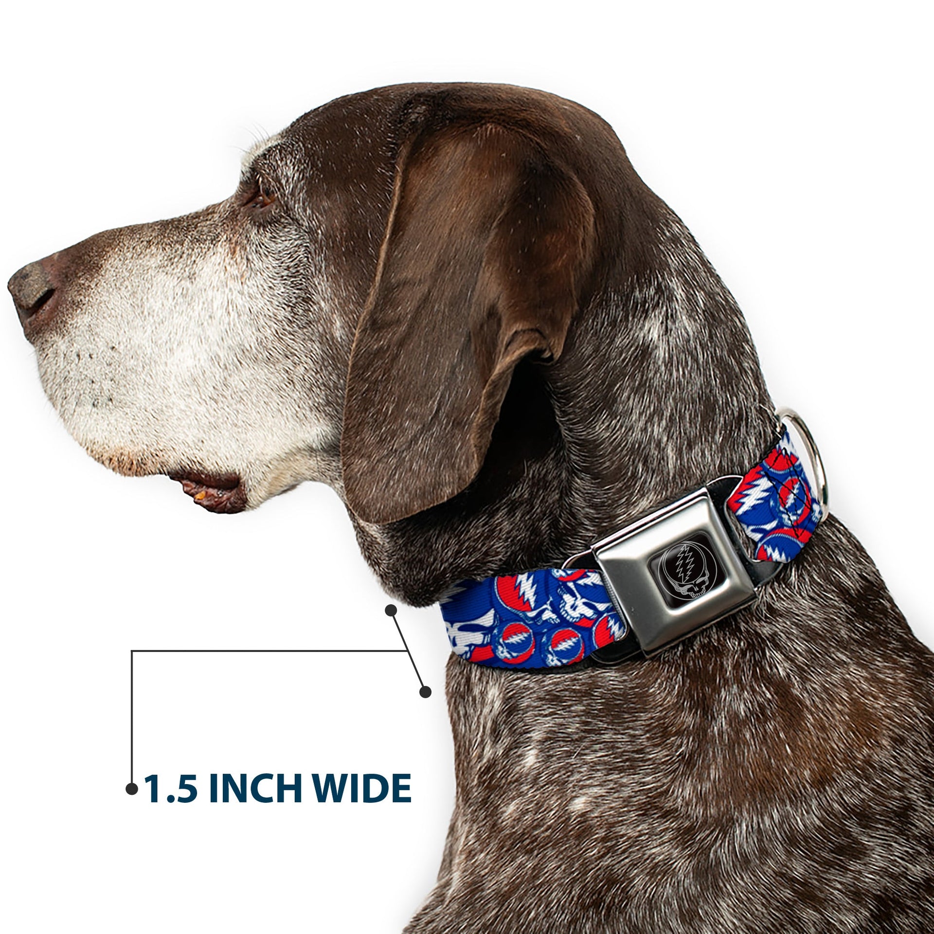 Grateful Dead Seatbelt Buckle Pet Collar | Steal Your Face Stacked (Steal Your Face B/W Buckle)