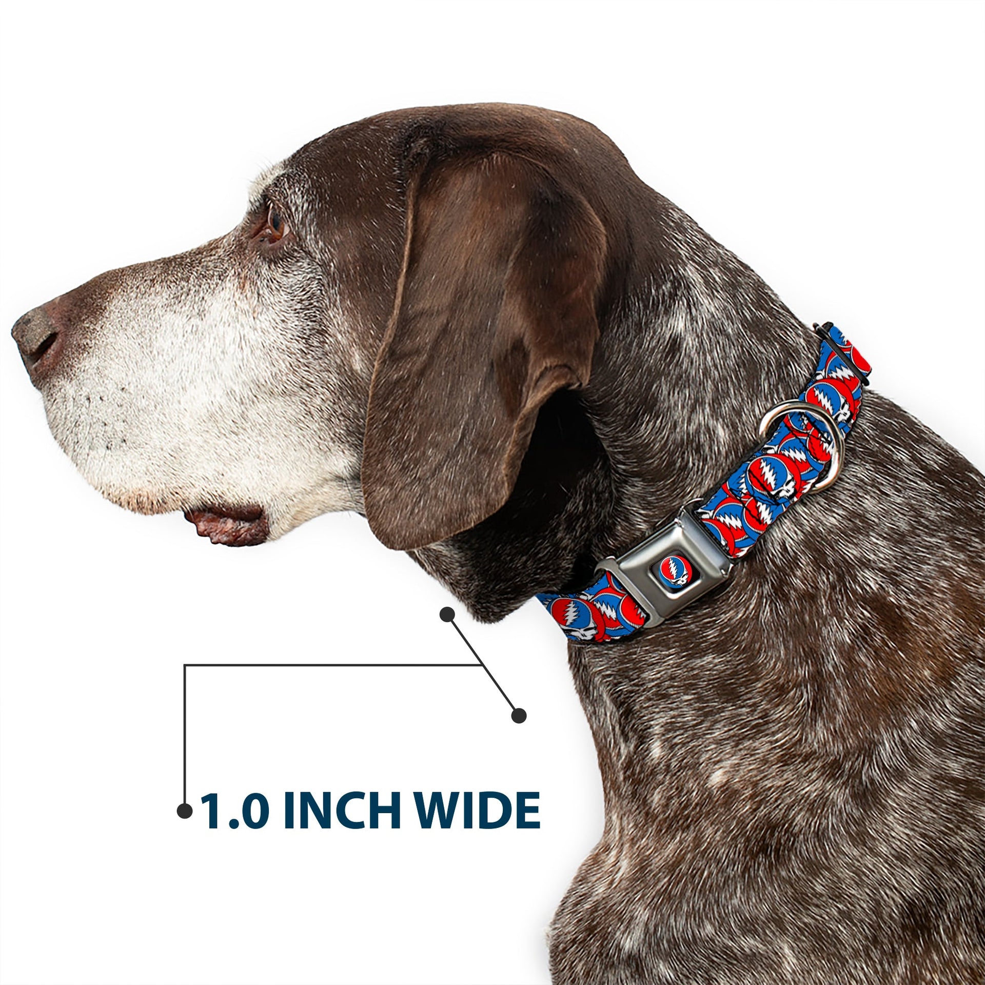 Grateful Dead Seatbelt Buckle Pet Collar | Steal Your Face Stacked (Steal Your Face Buckle)