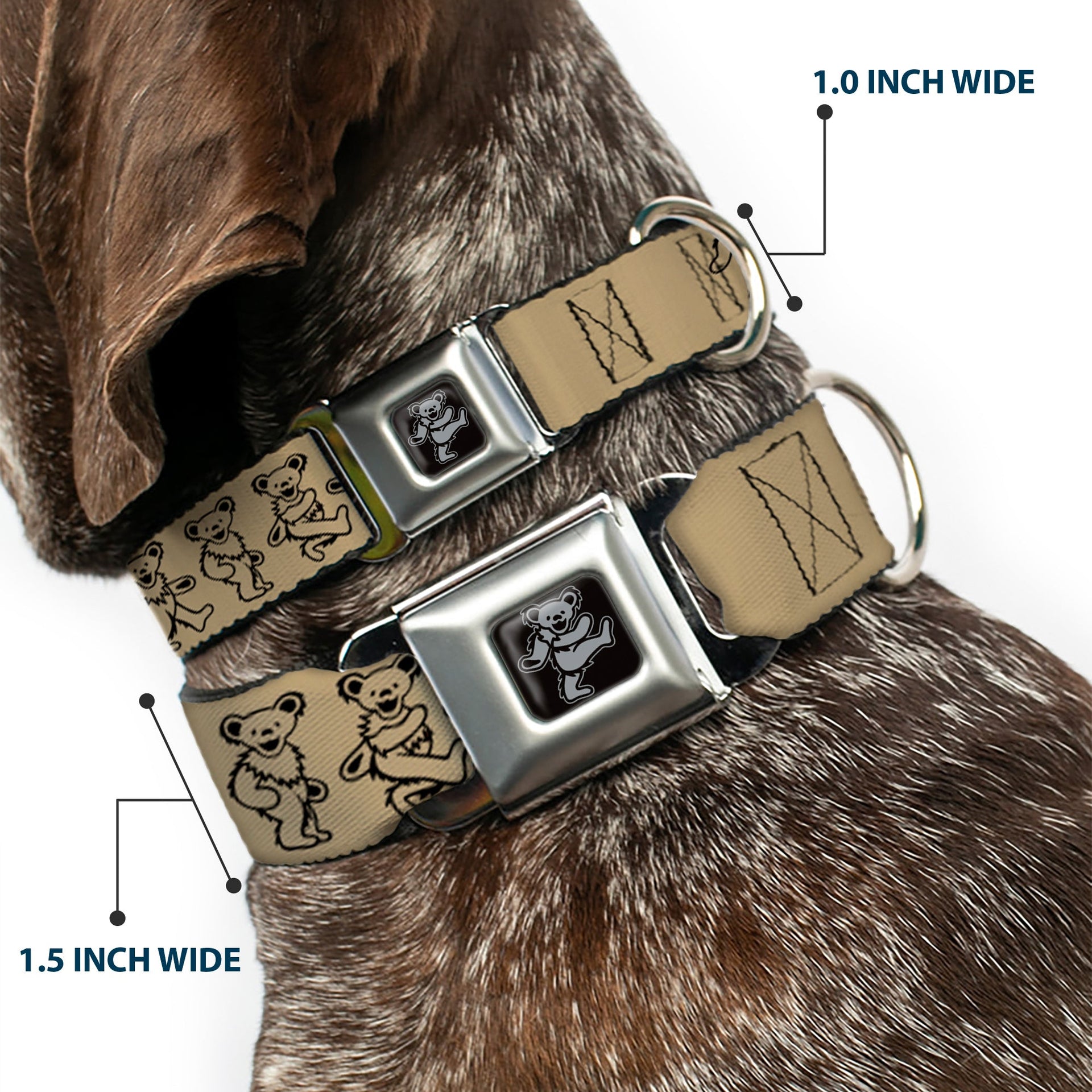 Grateful Dead Seatbelt Buckle Pet Collar | Tan/Black Dancing Bears (Dancing Bear Buckle)