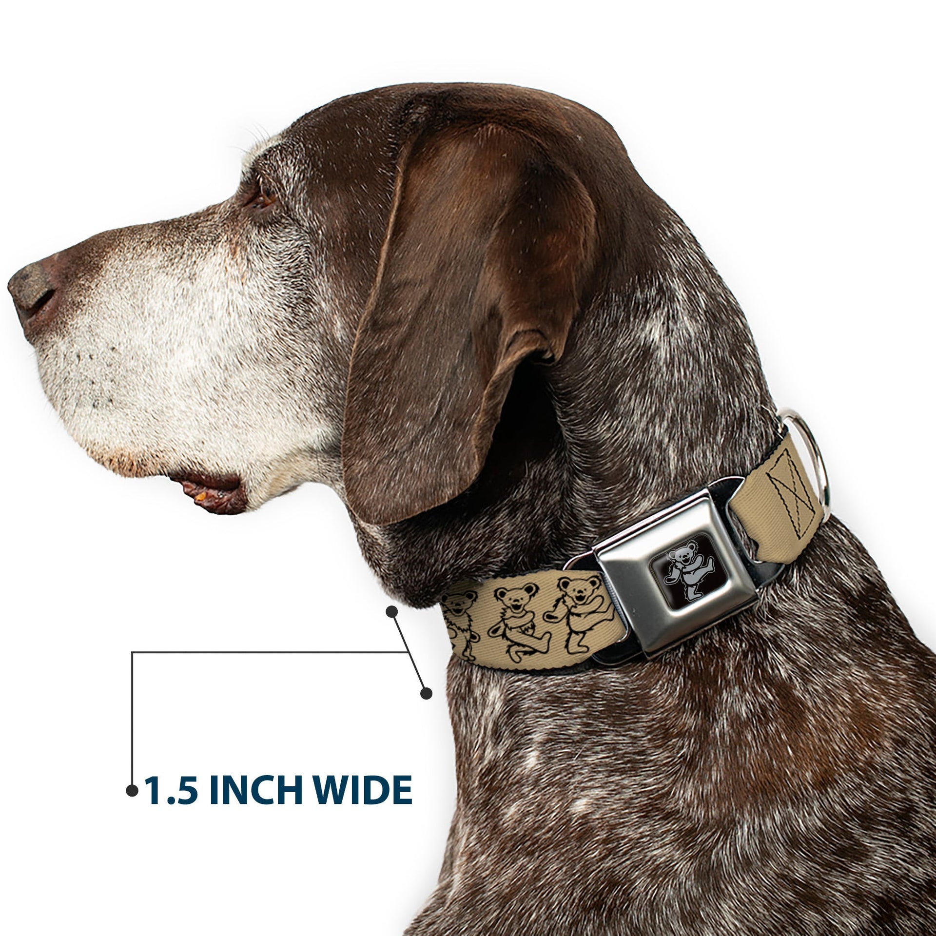 Grateful Dead Seatbelt Buckle Pet Collar | Tan/Black Dancing Bears (Dancing Bear Buckle)