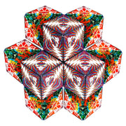 Grateful Dead Shashibo Cube | Dancing Bears