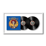 Grateful Dead - The Best of the Grateful Dead: 1977-1989, Vol. 2 (Framed Vinyl)