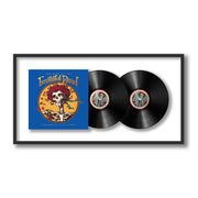 Grateful Dead - The Best of the Grateful Dead: 1977-1989, Vol. 2 (Framed Vinyl)