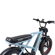 Grateful Dead Valen Rev+ Fat Tire Electric Bike