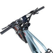 Grateful Dead Valen Rev+ Fat Tire Electric Bike