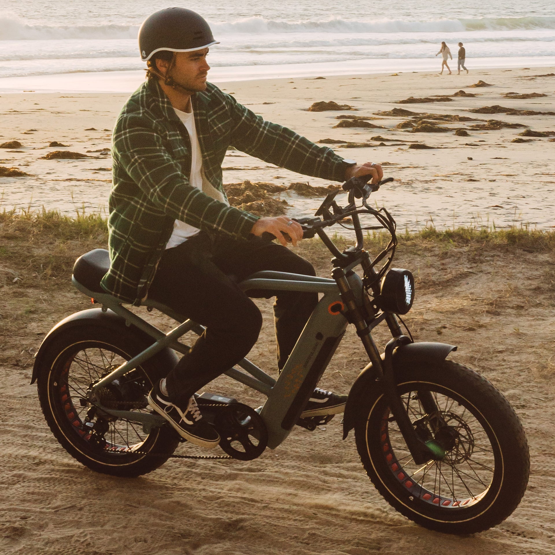 Grateful Dead Valen Rev+ Fat Tire Electric Bike