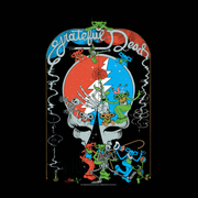 Grateful Dead x Brian Blomerth T-Shirt