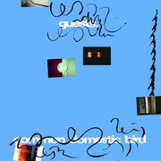 Guests – Common Domestic Bird (LP Vinyl)