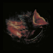 Gurriers – Nobody's Coming To Save You (Black LP Vinyl)