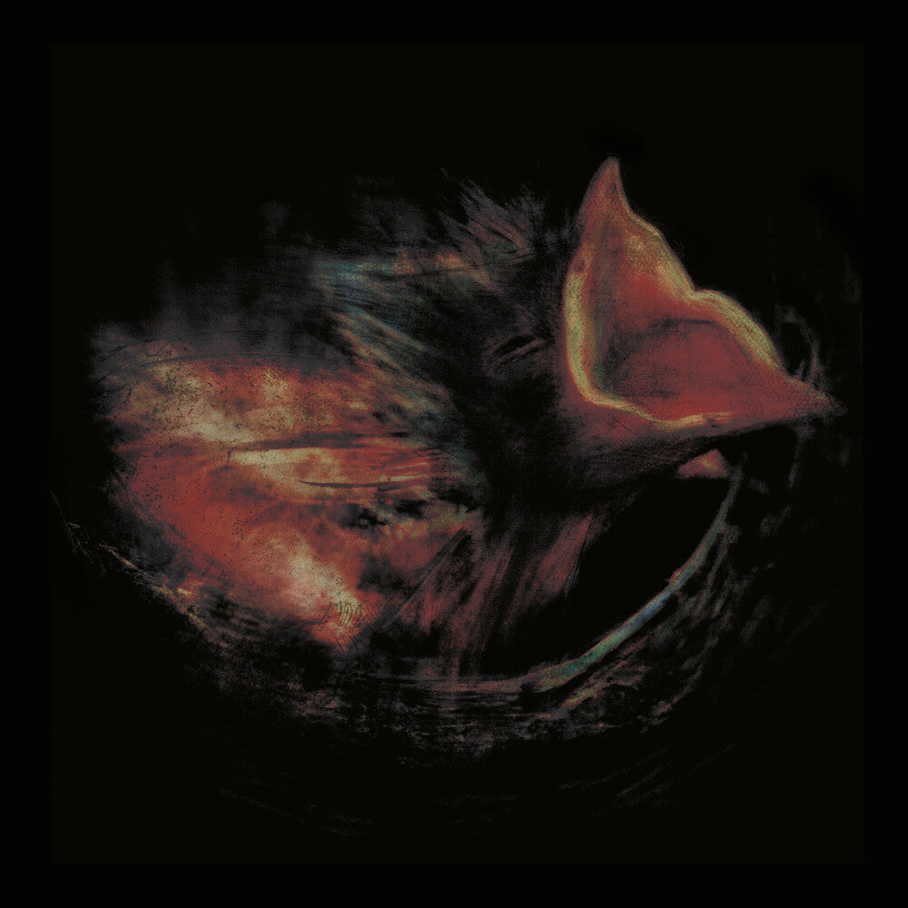 Gurriers – Nobody's Coming To Save You (Black LP Vinyl)