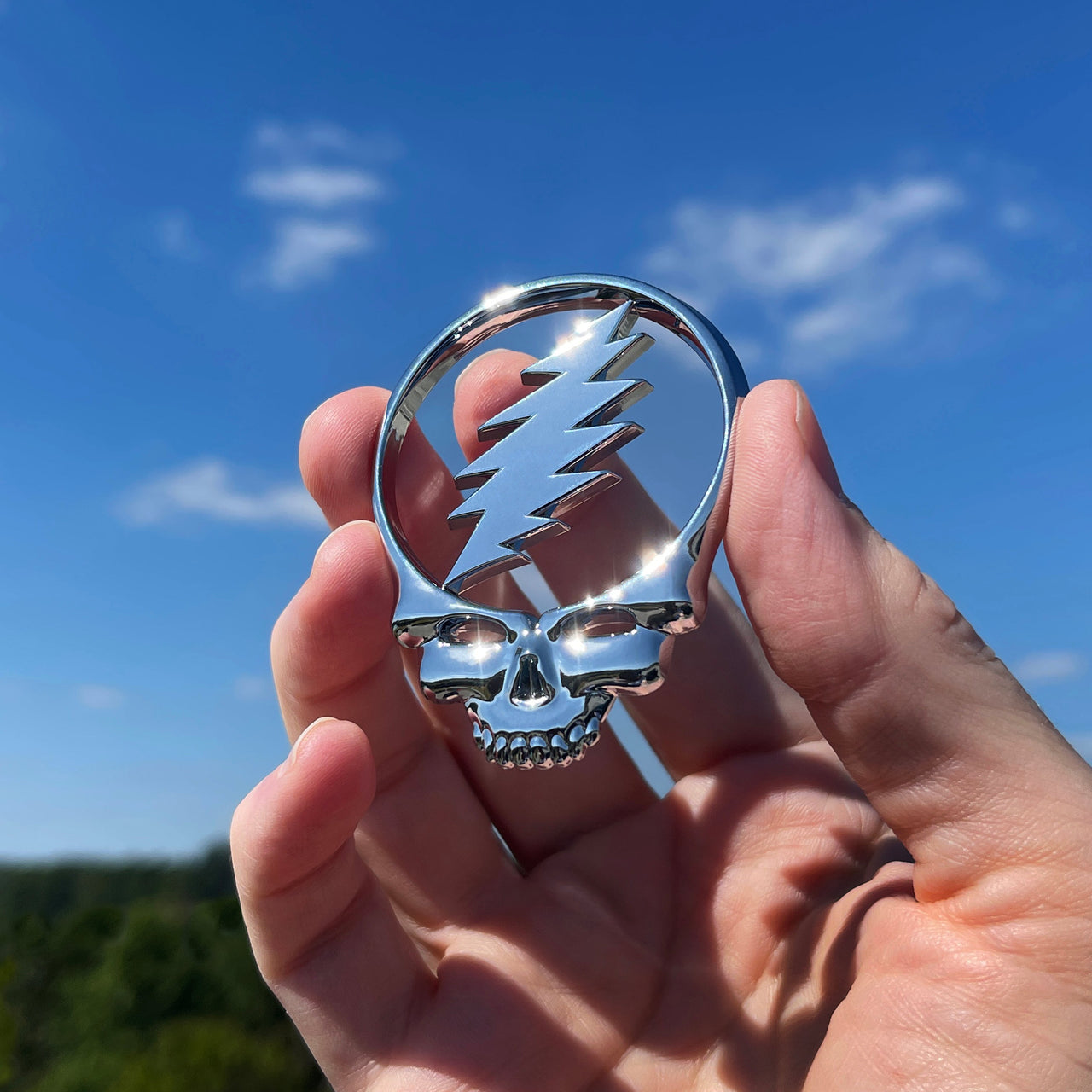 The Steal Your Face Badge