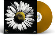 Heart Of Gold: Songs Of Neil Young Vol. 3 - Into – Heart Of Gold: Songs Of Neil Young Vol. 3 - Into (LP Vinyl)