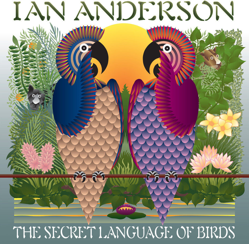 Ian Anderson – Secret Language Of Birds (LP Vinyl)