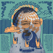 Imaginational Anthem 9 Ryley Walker Presents / Va – Imaginational Anthem, Vol. 9: Ryley Walker Presents (Various Artists LP Vinyl)