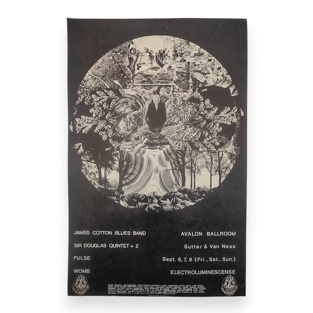 James Cotton Blues Band – The Avalon Ballroom, San Francisco (Sep 6–8, 1968) by Roger Well (1st Edition, Fair Condition)