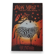 Jason Mraz, James Blunt – The Fillmore, San Francisco (Nov 7, 2005) by Todd Slater