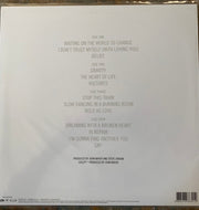 John Mayer – Continuum (180 Gram 2-LP Vinyl) - Detail