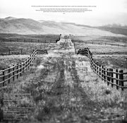 John Mayer – Paradise Valley (LP Vinyl + CD) - Side View