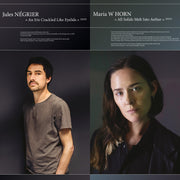 Jules Negrier – Iris Crackled Like Eyelids / All Solids Melt Into (LP Vinyl)