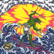 King Gizzard & The Lizard Wizard – Teenage Gizzard (Picture Disc LP Vinyl) - Back
