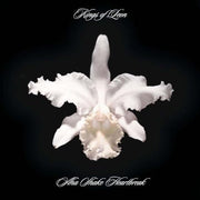 Kings Of Leon – Aha Shake Heartbreak (LP Vinyl)