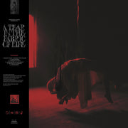Knocked Loose – Tear In The Fabric Of Life (Brwn, Colored LP Vinyl)