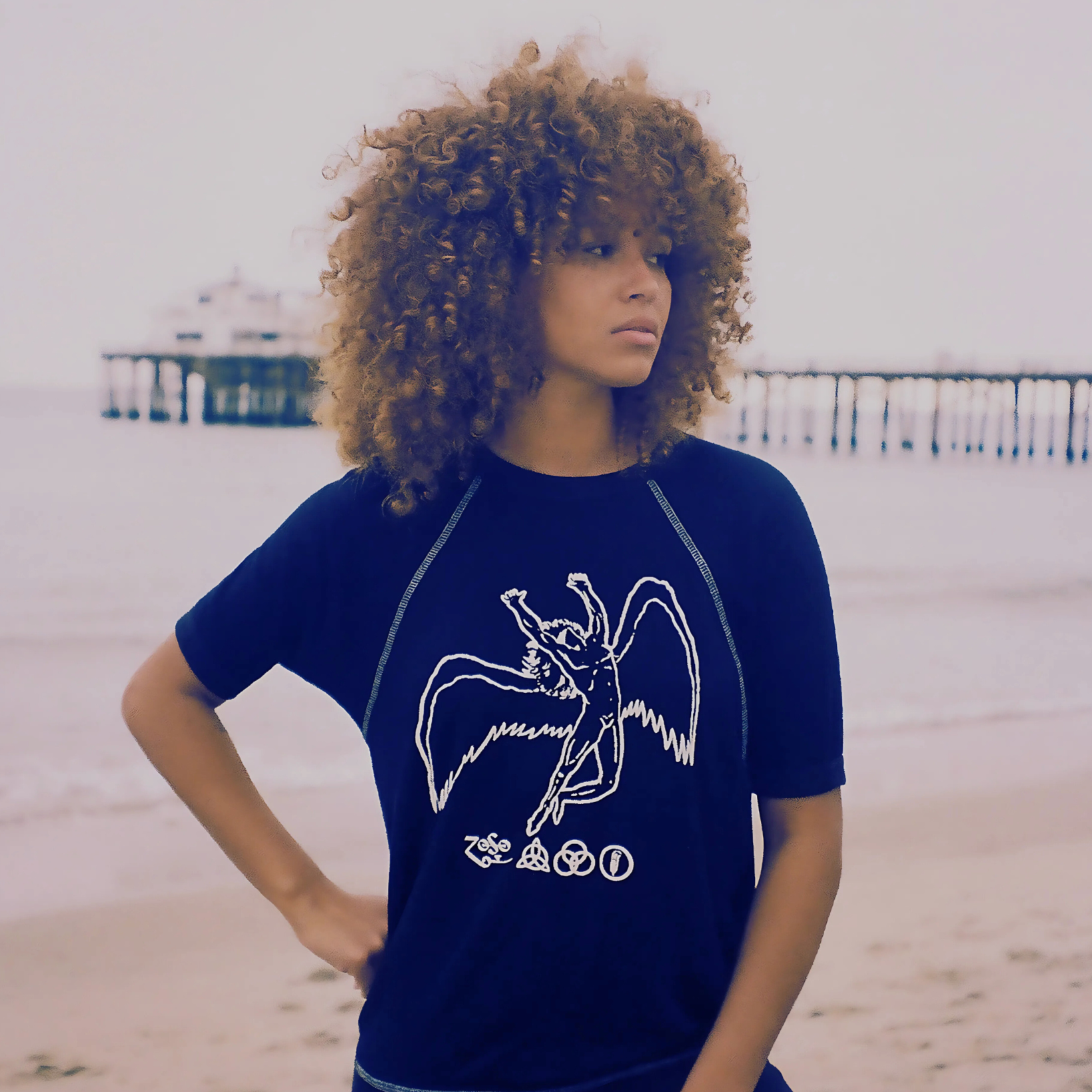 Led Zeppelin Short Sleeve Icarus Raglan