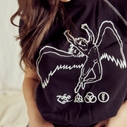 Led Zeppelin Short Sleeve Icarus Raglan