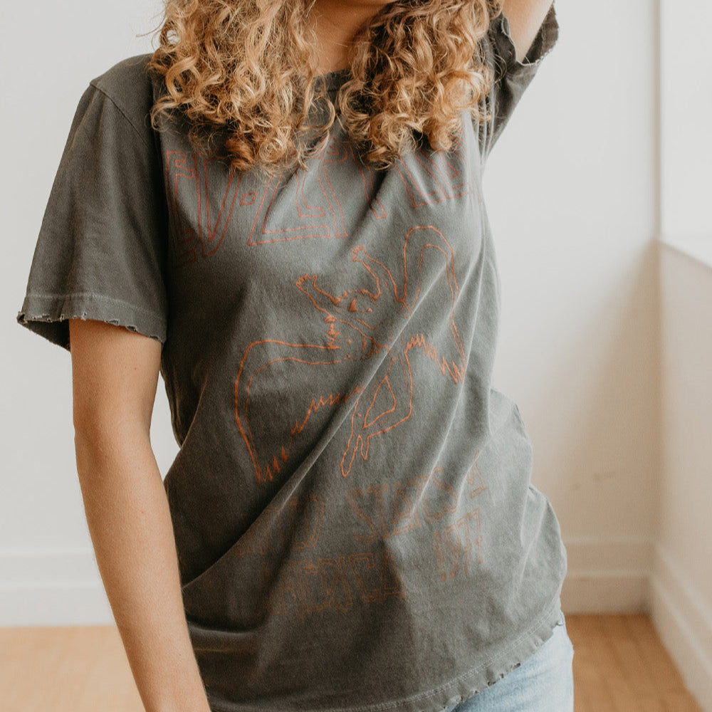 Led Zeppelin Sunkissed Boyfriend Tee