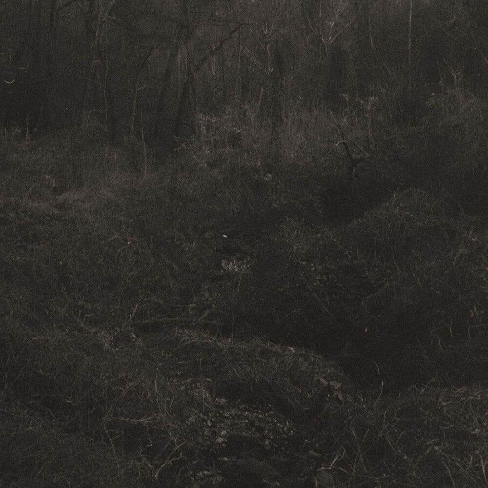 Lesley Mok – Transient (Download Included LP Vinyl)