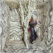 Madison Cunningham – Revealer (CD)