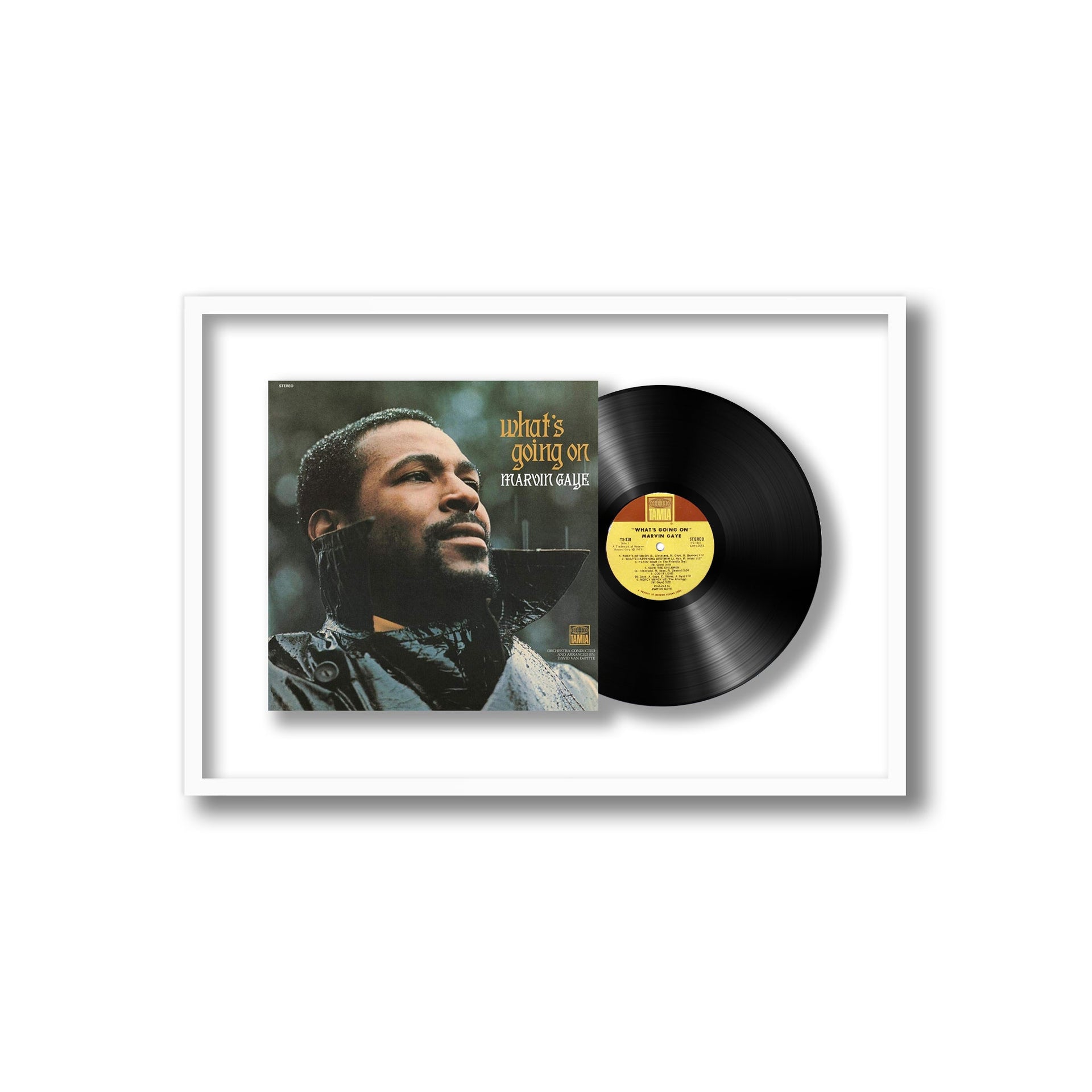 Marvin Gaye - What's Going On (Framed Vinyl)