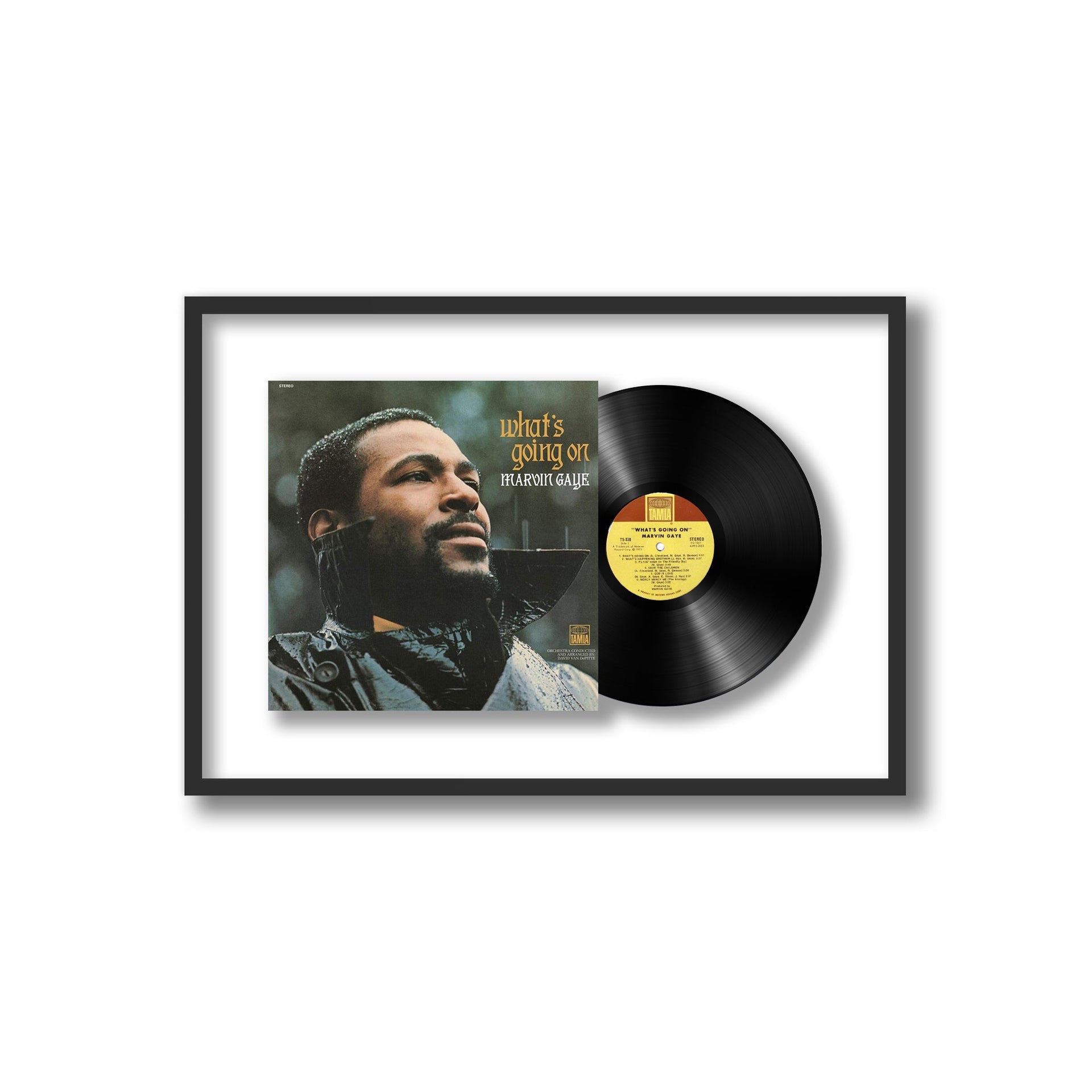 Marvin Gaye - What's Going On (Framed Vinyl)