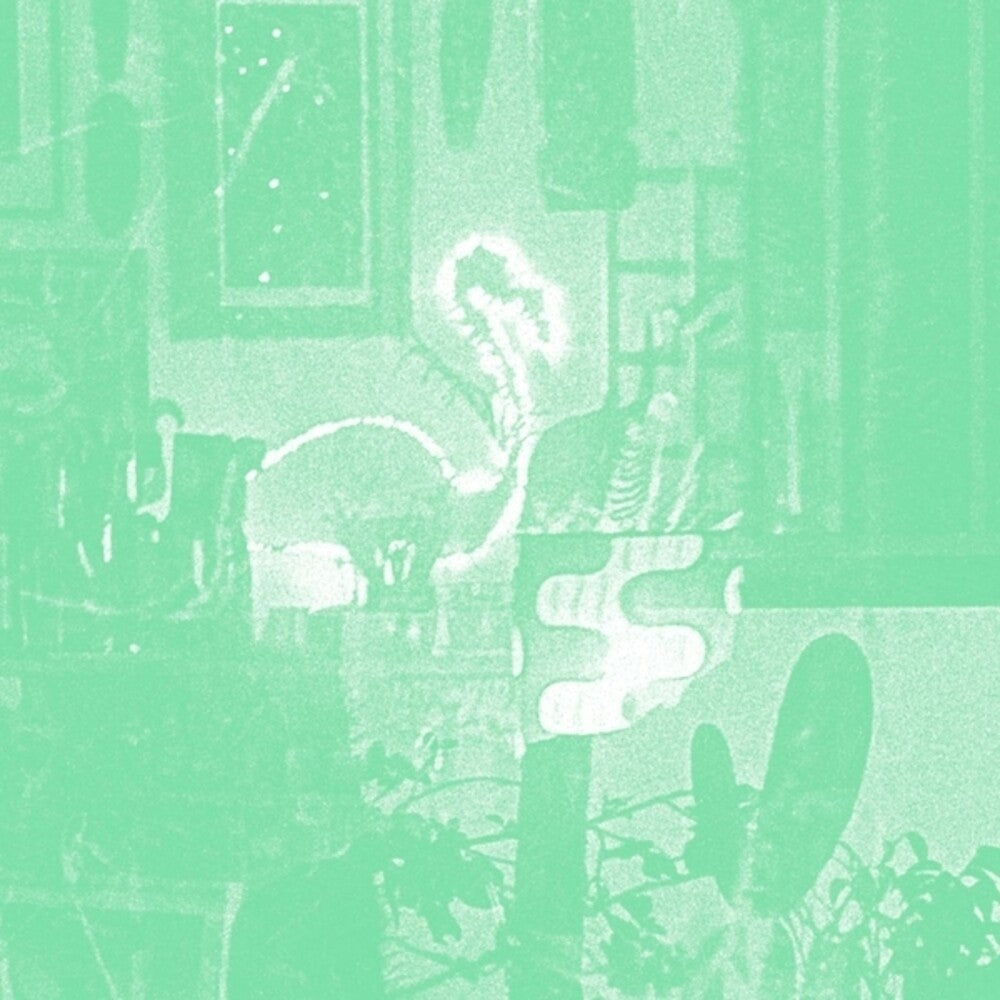 Mike Cooper – Stochastic Parrot (CD)
