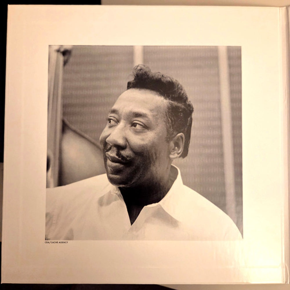 Muddy Waters – Folk Singer (LP Vinyl)