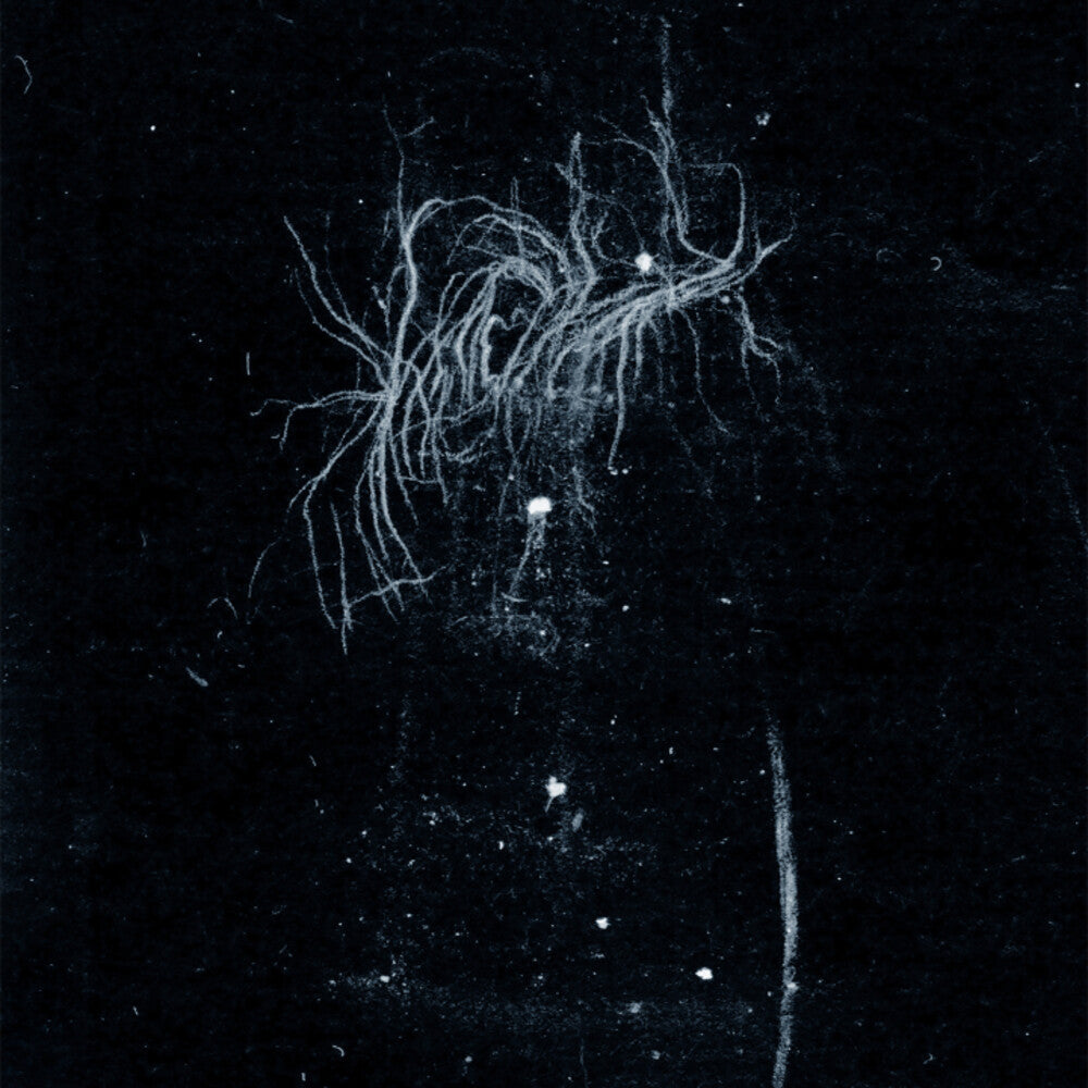 My Heart, An Inverted Flame – My Death Is More Beautiful Than Your Life (CD)