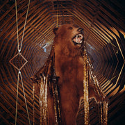 My Morning Jacket - It Still Moves (2-LP Golden Smoke Vinyl)