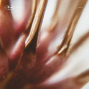 Nastia – TECH041 (12" Vinyl)