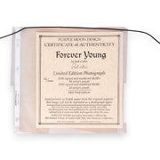 Neil Young & Jerry Garcia Forever Young Photograph by Rob Cohn