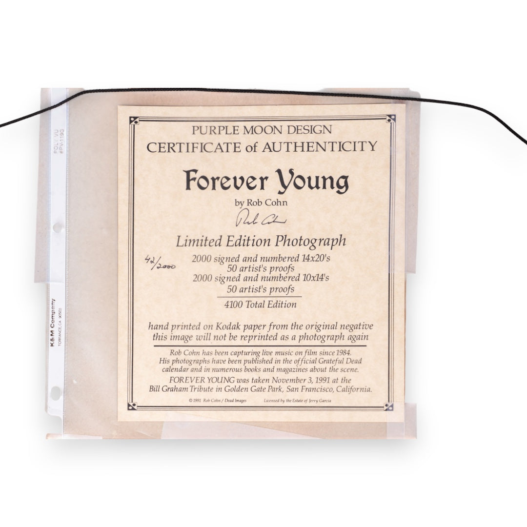 Neil Young & Jerry Garcia Forever Young Photograph by Rob Cohn