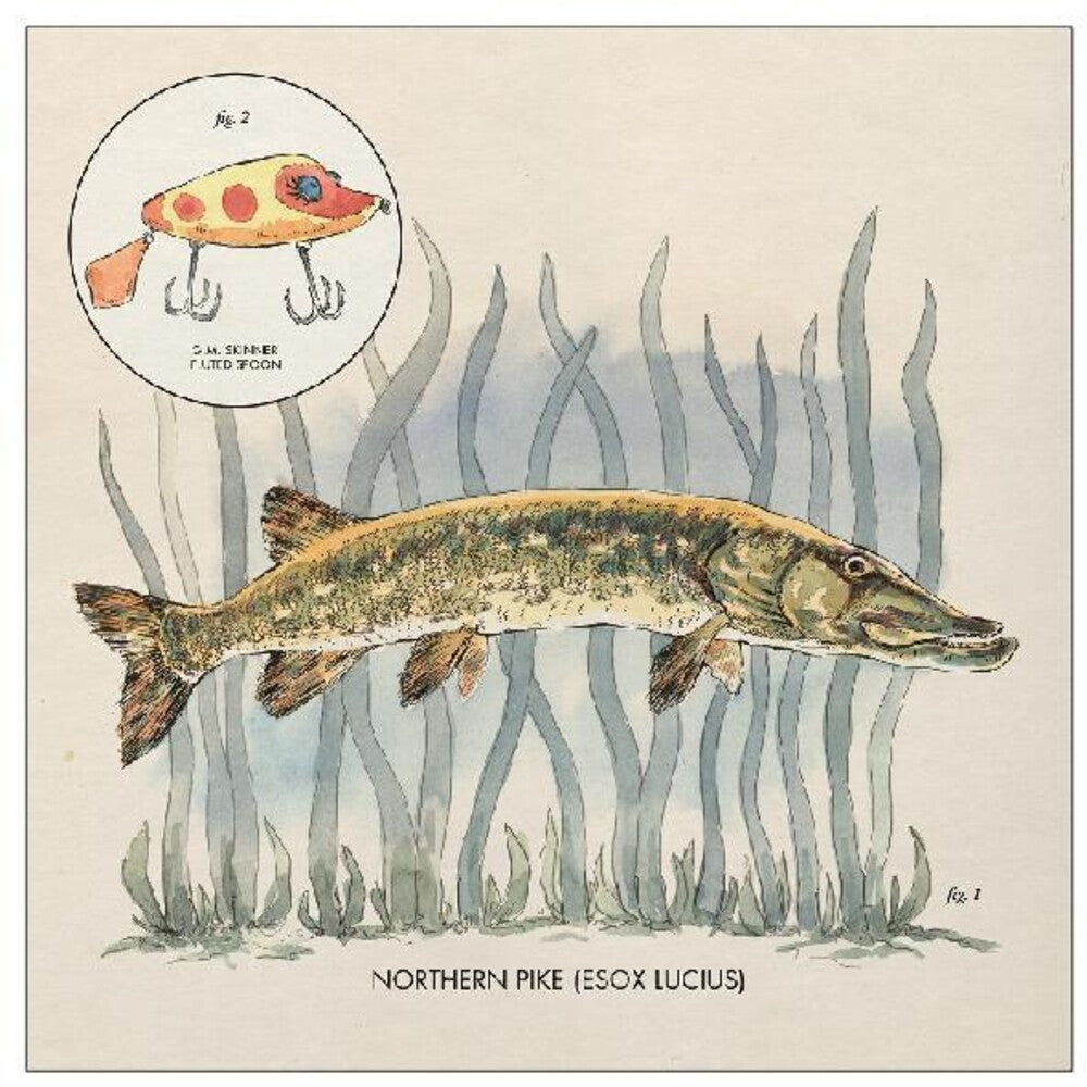 Nick Lowe – Lay It On Me (12" Vinyl)